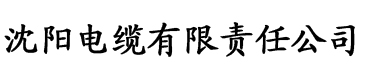 91香蕉视频直播交友电缆厂logo